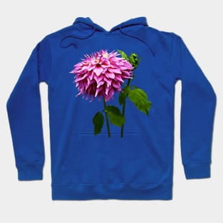 One Pink Dahlia and Buds Hoodie